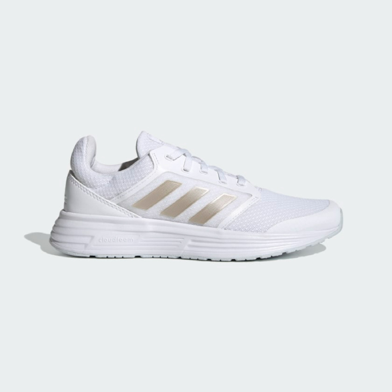 g55778