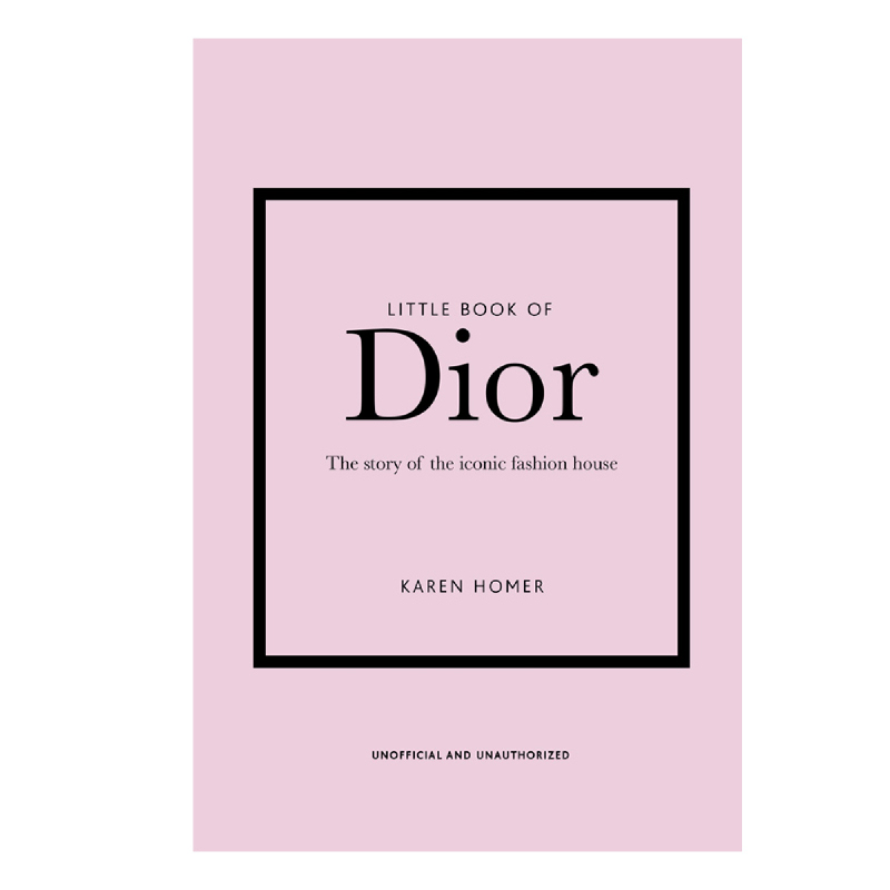 shein dior saddle bag