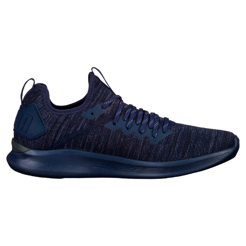 puma men's ignite flash evoknit shoes