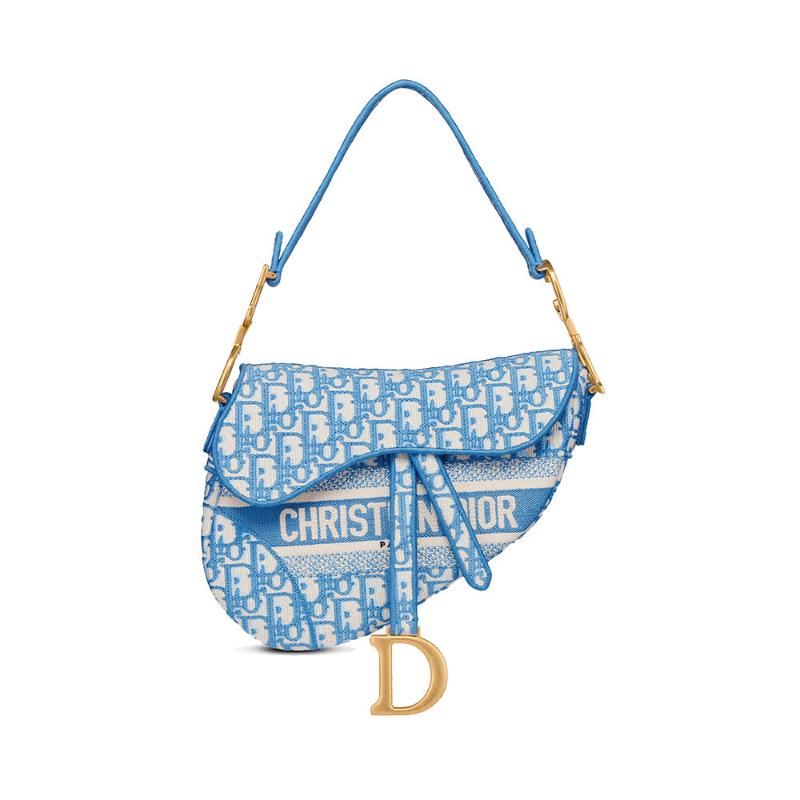 dior oblique embroidered saddle bag